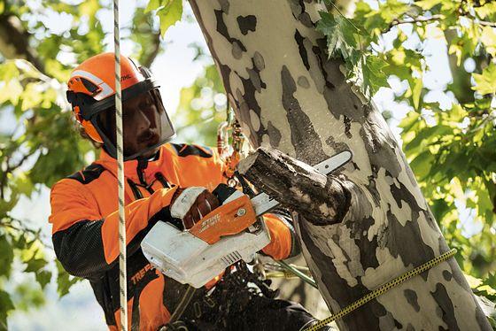 Stihl MSA 161T Akku Säge