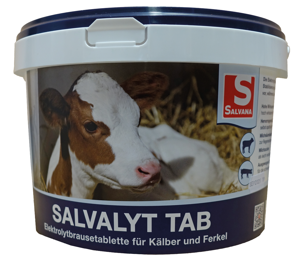 Salvalyt Tab 48 Tabletten Salvana