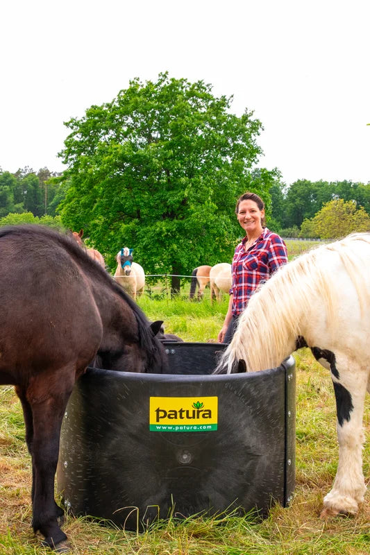 Slow Feeder Pferd Fütterung