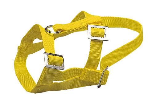 Halfter für Schafe gelb