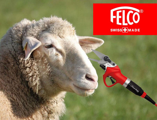Felco 802M Klauenschere f. Schafe u. Ziege