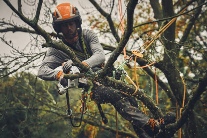 Stihl Akku-Gehölzschneider GTA 40 im Set