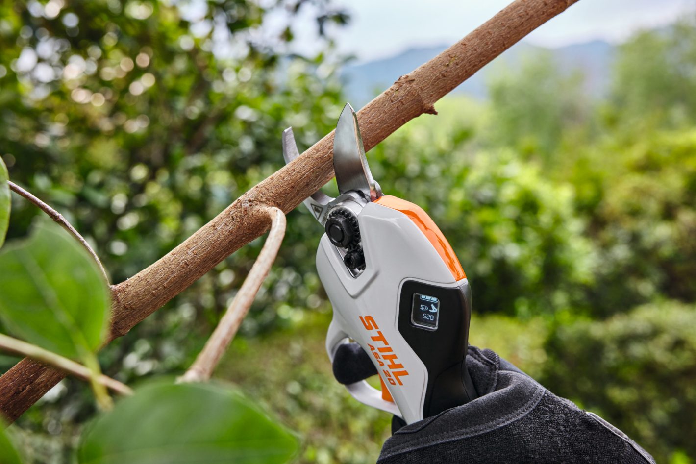 Stihl ASA 20 Astschere im Set mit AS 2 u. AL 1