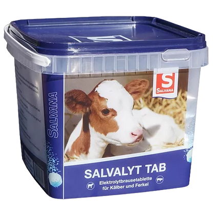 Salvalyt Tab 48 Tabletten Salvana