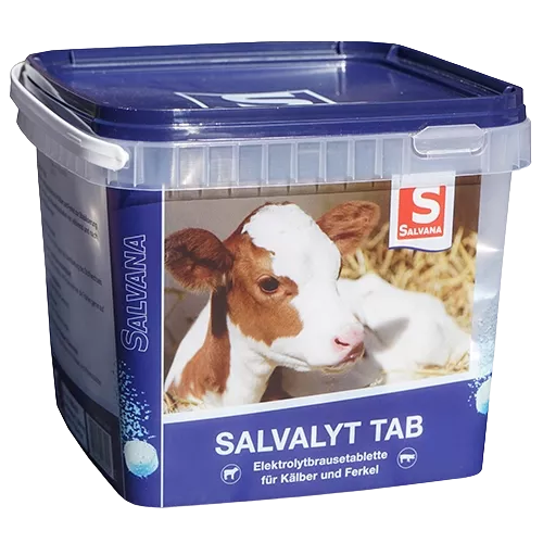 Salvalyt Tab 48 Tabletten Salvana
