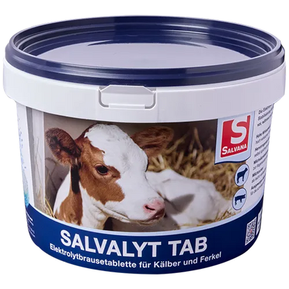 Salvalyt Tab 48 Tabletten Salvana