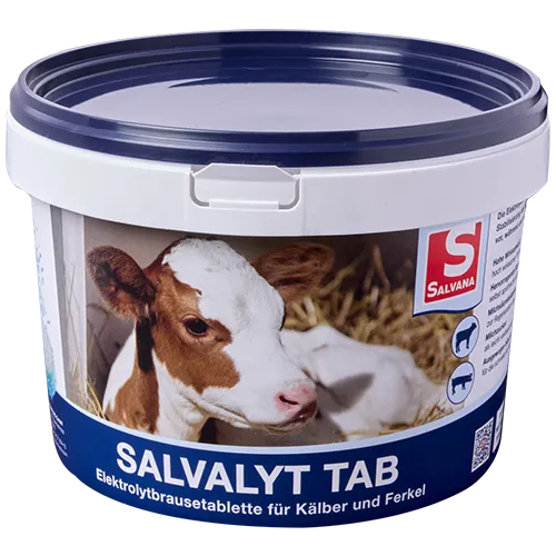 Salvalyt Tab 48 Tabletten Salvana